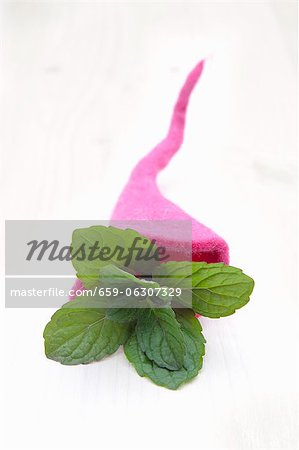 Grapefruit mint (Menta suaveolens x piperita) in a felt cornucopia Grapefruit mint (Menta suaveolens x piperita) in a felt cornucopia