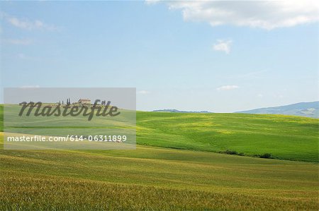 Rolling landscape, Tuscany, Italy