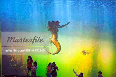 Show of mermaid at City of Dreams, Taipa, Macau