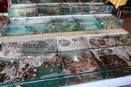 Shop of seafood at Sai Kung, Hong Kong