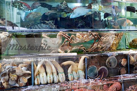 Shop of seafood at Sai Kung, Hong Kong