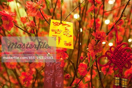 Fleurs de pêchers affichées dans le hall The Harbourside célébrant le nouvel an chinois, Hong Kong
