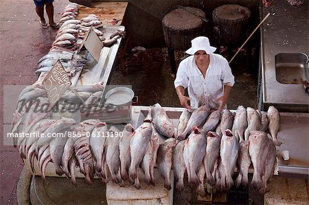 Fish stall in Ver p Peso Market, Belem, Amazonia, Brazil, South America