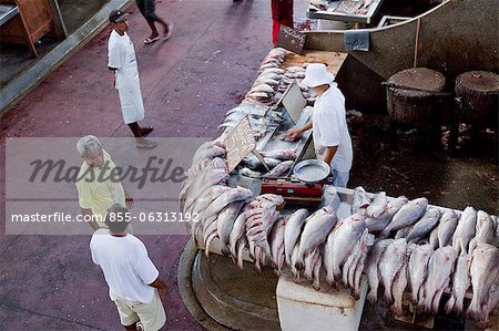 Fish stall in Ver p Peso Market, Belem, Amazonia, Brazil, South America