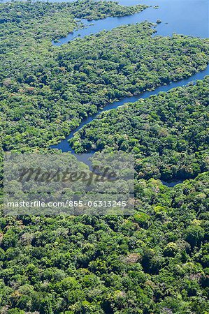 Aerial view of Amazon jungle and Amazon River, Brazil