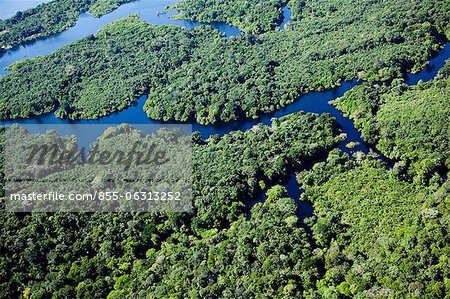 Aerial view of Amazon jungle and Amazon River, Brazil