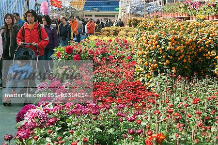 People shopping at the flower market, Tsuen Wan, Hong Kong