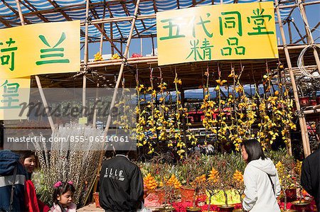 Marché de gens magasiner chez la fleur, Tsuen Wan, Hong Kong