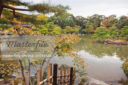 Japanese garden, Kinakuji, Kyoto, Japan