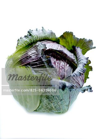 Whole cabbage Whole cabbage