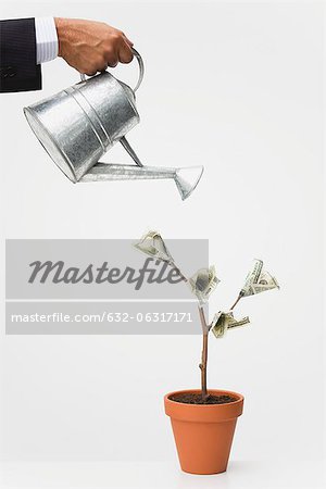 Businessman watering money tree, cropped