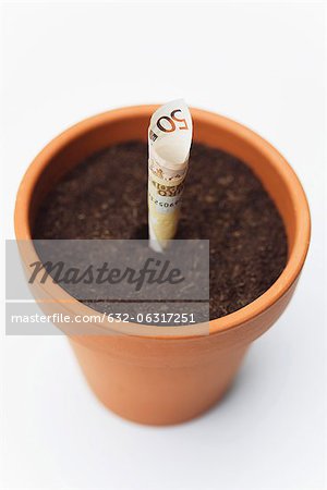 Fifty euro banknote planted in flower pot Fifty euro banknote planted in flower pot