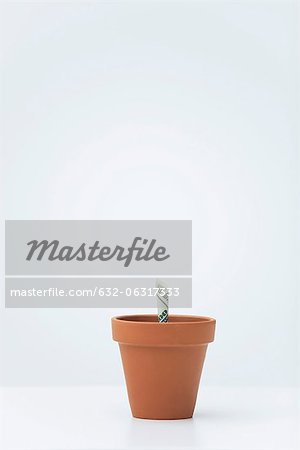 One-hundred dollar bill planted in flower pot One-hundred dollar bill planted in flower pot