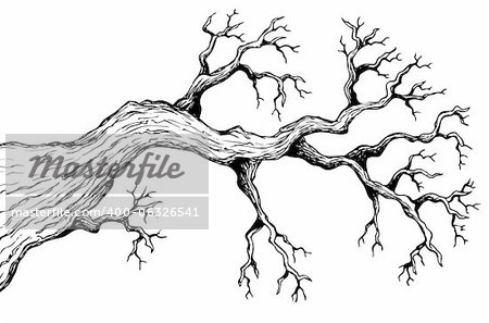 Tree theme drawing 3 - vector illustration.