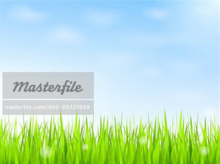 Green grass and blue sky with clouds, vector eps10 illustration