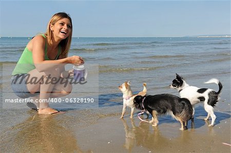 portrait of a cute purebred  chihuahuas and young woman on the beach