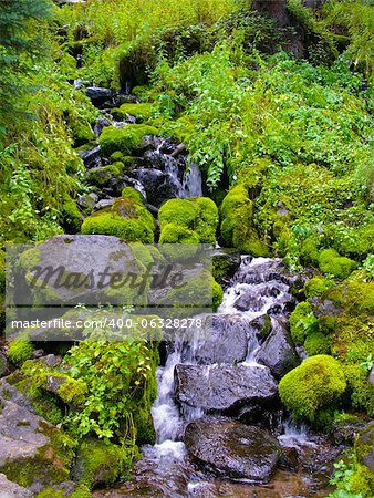 A tributary of Weminuche Creek in the San Juan Mountains of Colorado Cascades down to the trail.