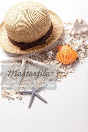 Seashells and starfish over white. Vacation concept .