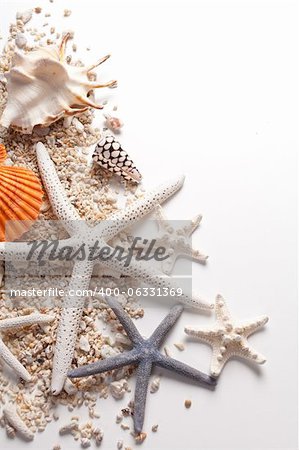 Seashells and starfish over white. Vacation concept .