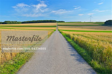 Route de campagne et champs, Arnstein, Main-Spessart, Franconie, Bavière, Allemagne