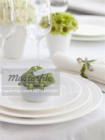 Elegant place setting with name tag