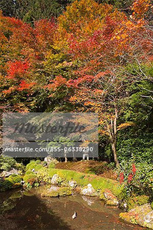 Jakkou-in temple in autumn, Ohara, Kyoto, Japan