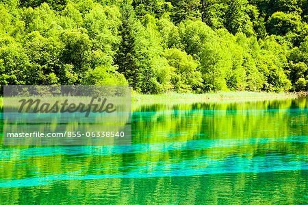 Five Flower Lake (Wuhuahai), Jiuzhaigou, Sichuan, China