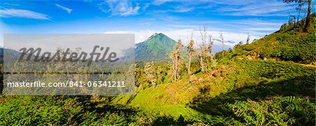 Landschaft auf dem Weg bis Kawah Ijen, Java, Indonesien, Südostasien, Asien