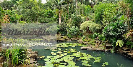 Garden designed by famed Filipino artist and garden designer Jerry Araos in Antipolo, Philippines, Southeast Asia, Asia