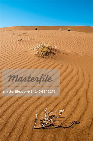 Sossusvlei, parc de Namib Naukluft, désert de Namib, en Namibie, Afrique