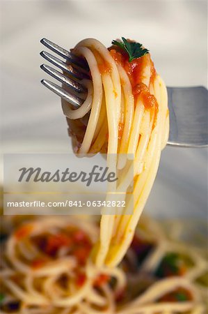 Spaghetti with tomato sauce, Lombardy, Italy, Europe Spaghetti with tomato sauce, Lombardy, Italy, Europe