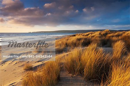 Dunes de sable balayées par le vent sur la plage à Studland Bay, avec vue sur le vieux Harry Rocks, Côte Jurassique, patrimoine mondial de l'UNESCO, Dorset, Angleterre, Royaume-Uni, Europe