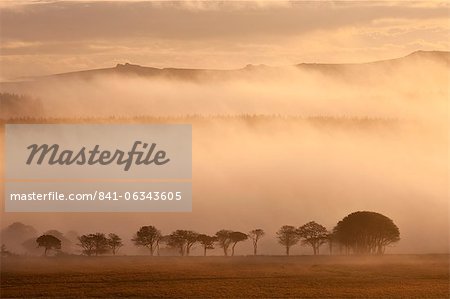 Landes couverte de brume au lever du soleil, près de Powdermills, Dartmoor, Devon, Angleterre, Royaume-Uni, Europe