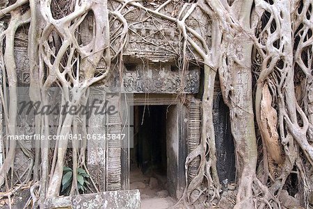 Ta Prohm, Angkor parc archéologique, patrimoine mondial de l'UNESCO, Siem Reap, Cambodge, Indochine, l'Asie du sud-est, Asie