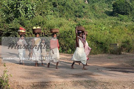 Dunguria Kondh tribeswomen walking barefoot to market carrying baskets of produce on their heads, Bissam Cuttack, Orissa, India, Asia