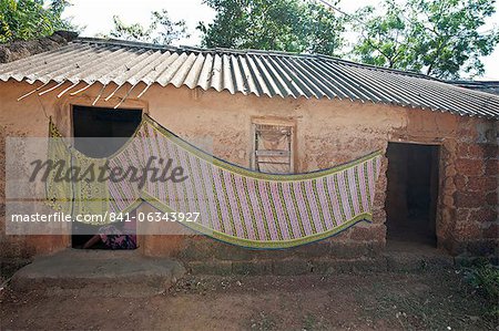 Cotton sari being hung out to dry across village house wall, rural Orissa, India, Asia