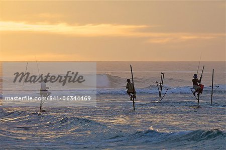 Pêcheurs sur pilotis à Weligama, côte sud, Sri Lanka, Asie