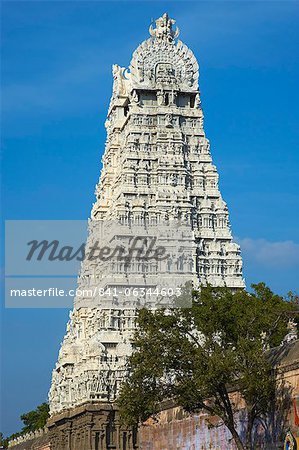 Arunachaleswar temple, Tiruvannamalai, Tamil Nadu, India, Asia