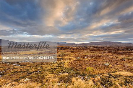 Aube au-dessus d'une étendue ouverte de Rannoch Moor, près de Glencoe, Scottish Highlands, Ecosse