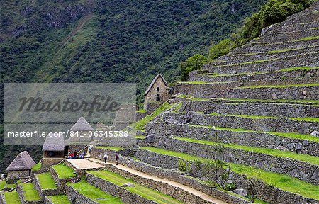 Agricultural Terrassen, Machu Picchu, Peru, Peru, Südamerika, südamerikanische, Lateinamerika, Lateinamerika, Südamerika. Die verlorene Stadt der Inkas wurde von Hiram Bingham 1911 wiederentdeckt.