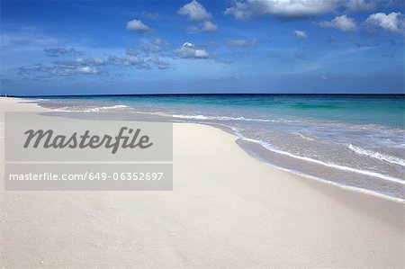 Vagues sur la plage tropicale de lavage