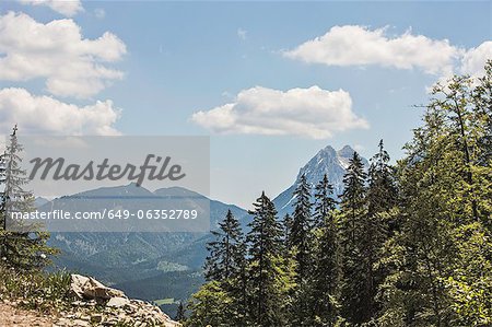 Trees overlooking rocky mountains