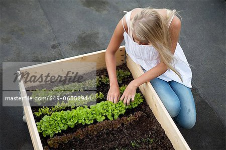 Teenage girl working in plant box