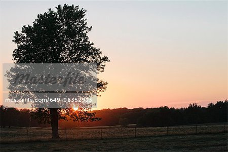 Coucher de soleil sur un paysage rural