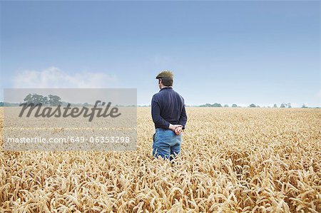 Farmer standing in field of wheat