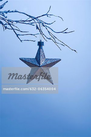 Sternförmige Christbaumkugel von Zweig hängend