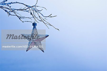 Ornement de Noël étoile suspendue à une branche Ornement de Noël étoile suspendue à une branche