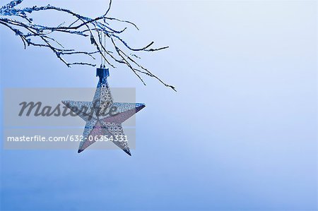 Star-shaped Christmas ornament hanging from branch