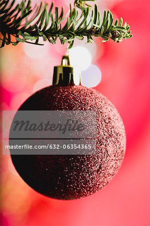 Christmas bauble hanging on branch