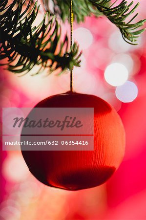 Boule de Noël suspendus sur une branche Boule de Noël suspendus sur une branche